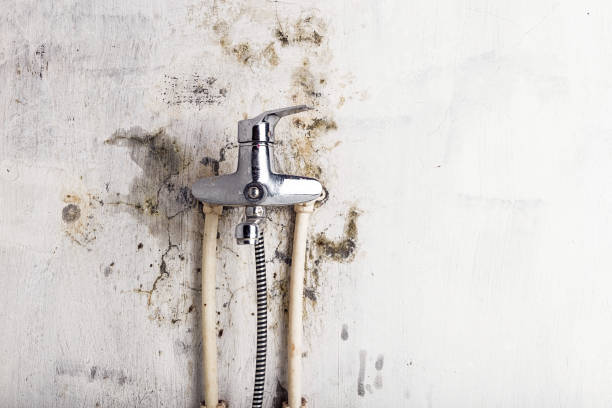 Best Water Damage Restoration  in Burlington, CO