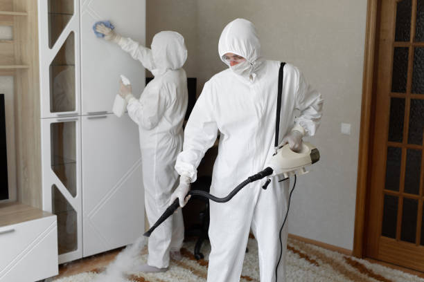 Best Office Mold Removal Services  in Burlington, CO