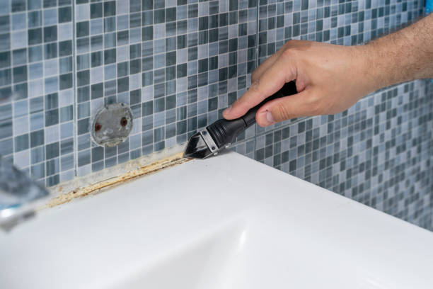 Best Mold Removal Near Me  in Burlington, CO
